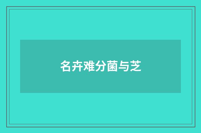 名卉难分菌与芝