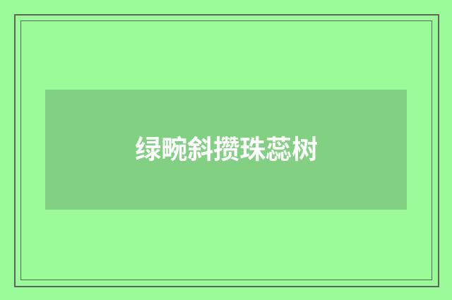 绿畹斜攒珠蕊树