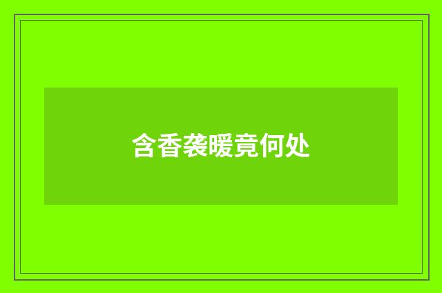 含香袭暖竟何处