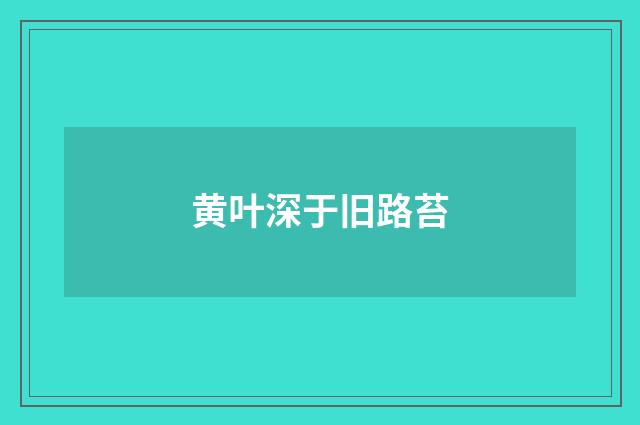 黄叶深于旧路苔