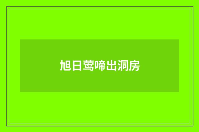 旭日莺啼出洞房