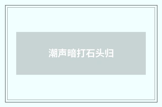 潮声暗打石头归