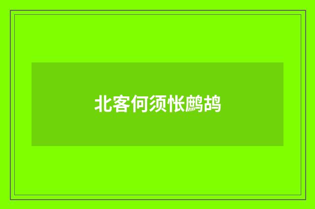 北客何须怅鹧鸪