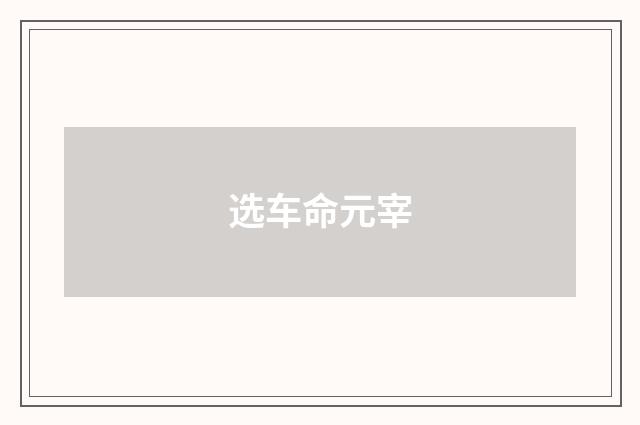 选车命元宰