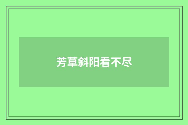 芳草斜阳看不尽