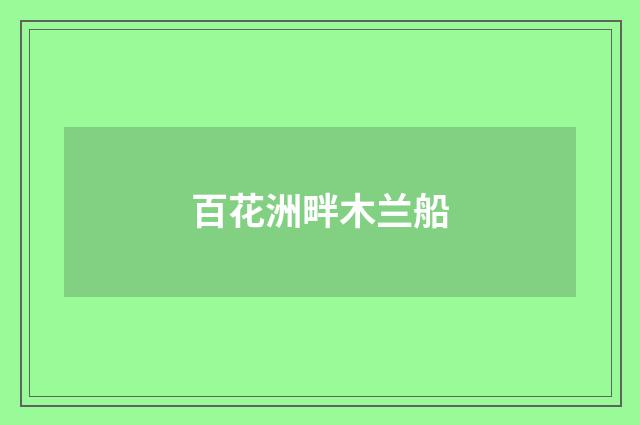 百花洲畔木兰船