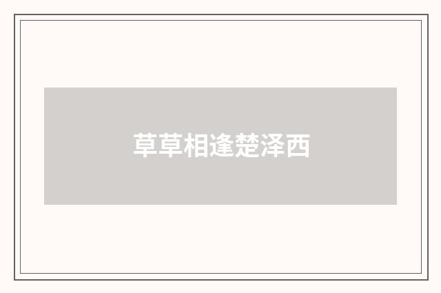 草草相逢楚泽西