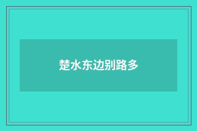楚水东边别路多