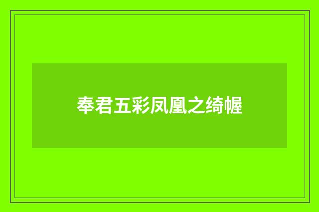 奉君五彩凤凰之绮幄