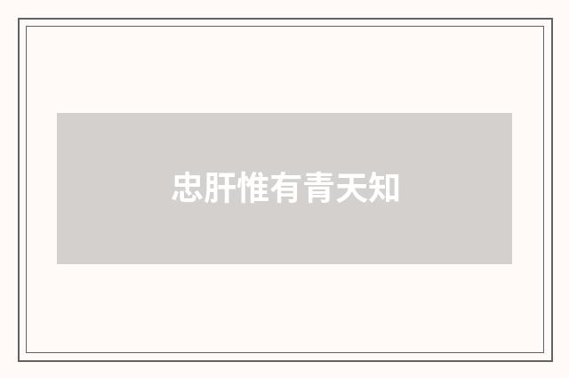 忠肝惟有青天知