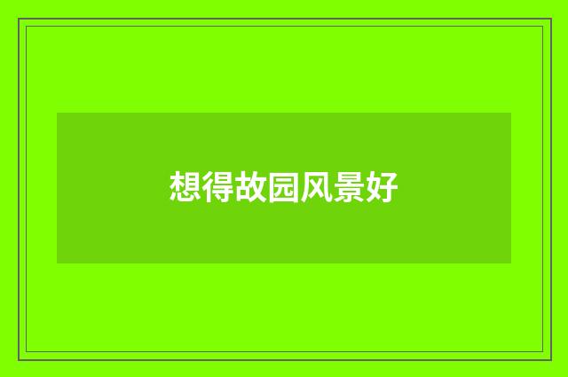想得故园风景好