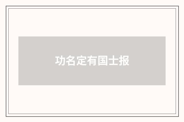 功名定有国士报