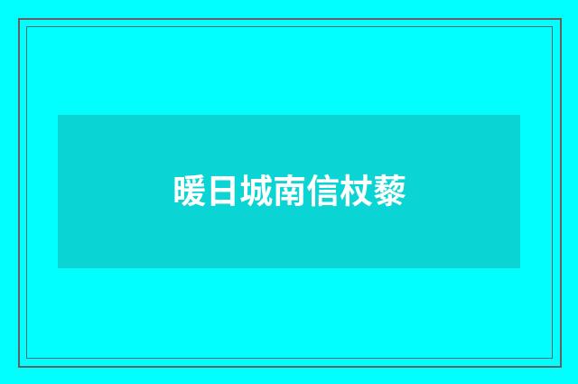 暖日城南信杖藜