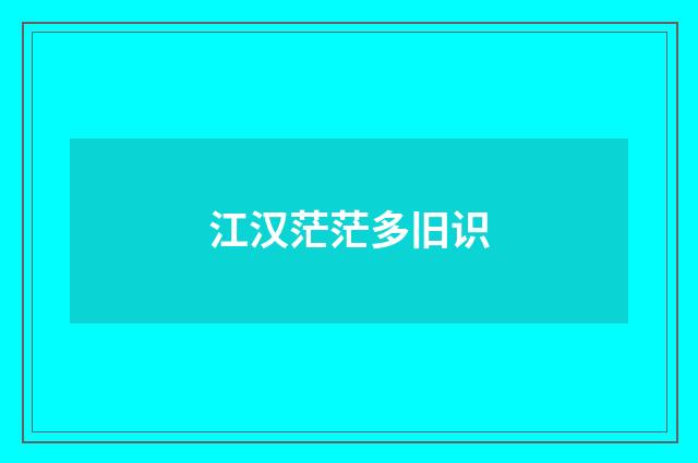 江汉茫茫多旧识