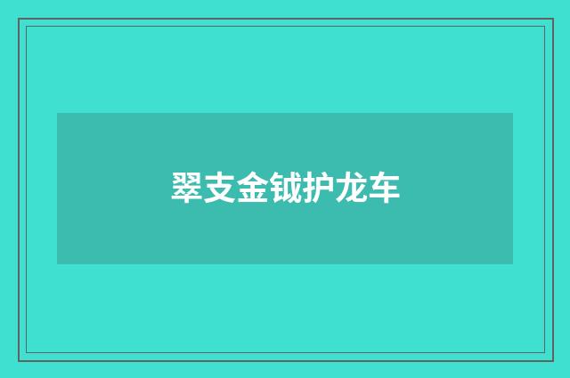 翠支金钺护龙车