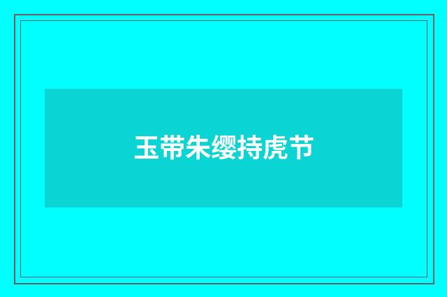 玉带朱缨持虎节