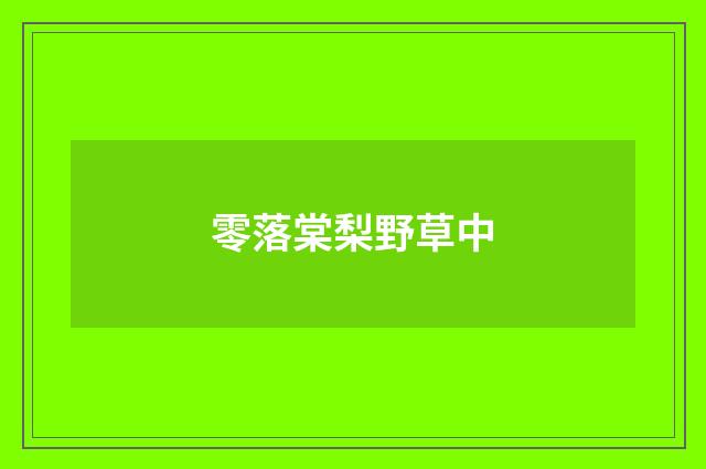 零落棠梨野草中