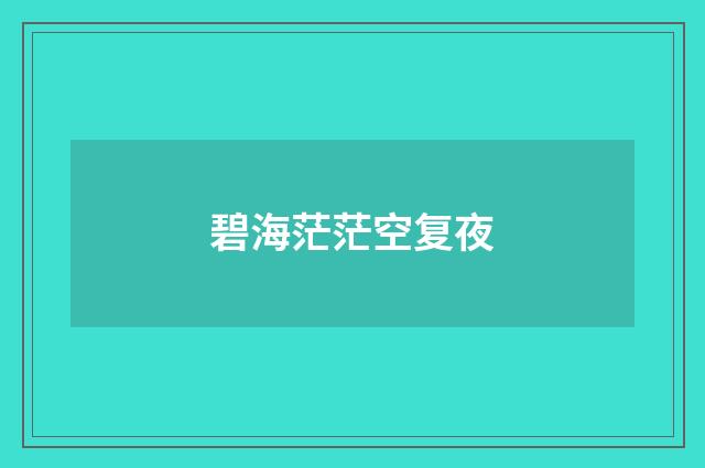 碧海茫茫空复夜