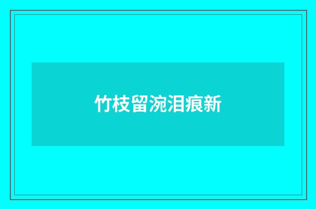 竹枝留涴泪痕新