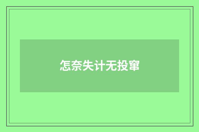 怎奈失计无投窜