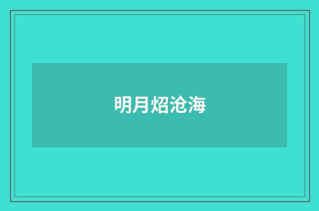 明月炤沧海
