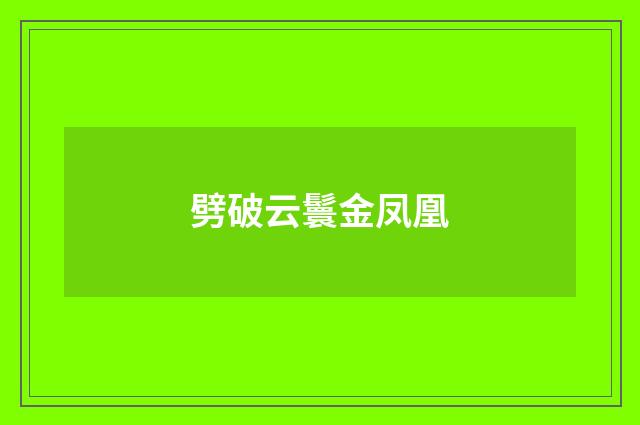 劈破云鬟金凤凰