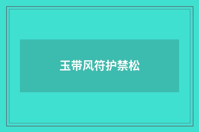 玉带风符护禁松