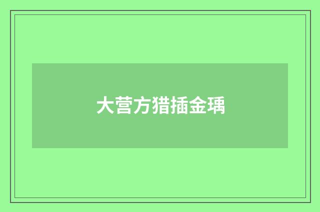 大营方猎插金瑀