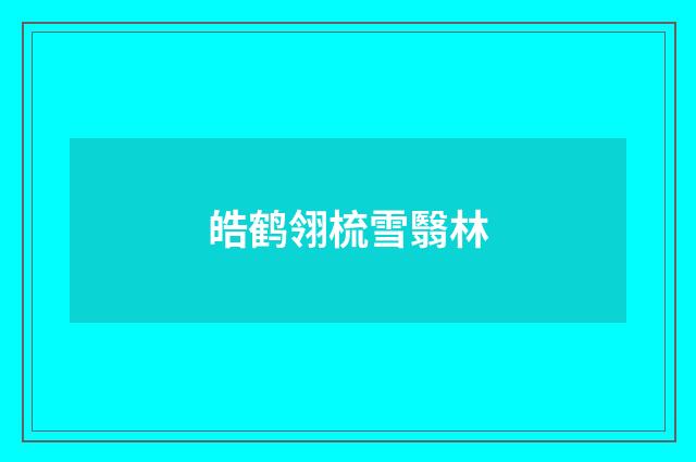 皓鹤翎梳雪翳林