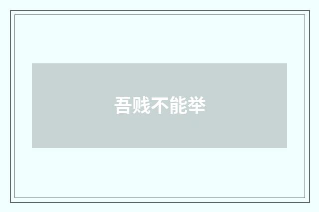 吾贱不能举