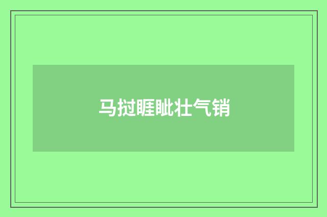 马挝睚眦壮气销