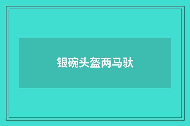 银碗头盔两马驮