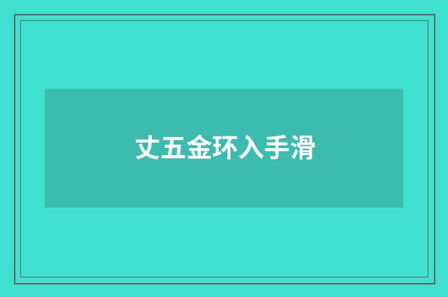 丈五金环入手滑