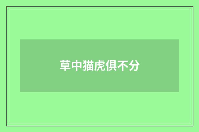 草中猫虎俱不分