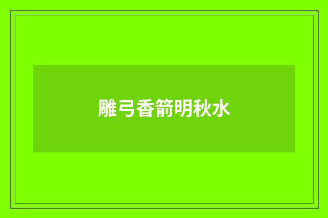 雕弓香箭明秋水