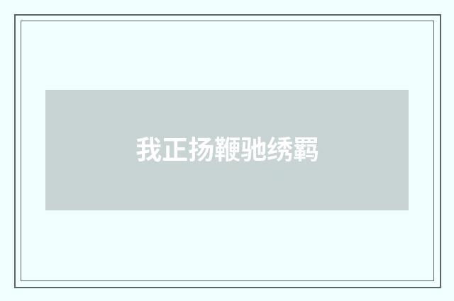 我正扬鞭驰绣羁