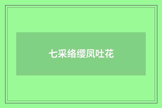 七采络缨凤吐花