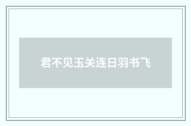 君不见玉关连日羽书飞
