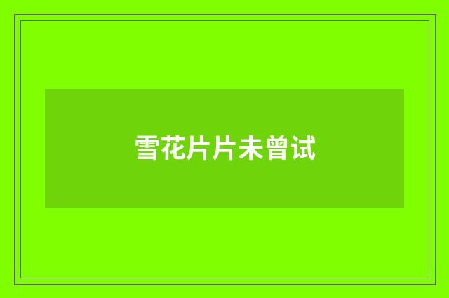 雪花片片未曾试