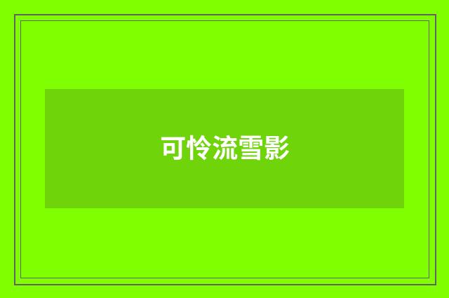 可怜流雪影