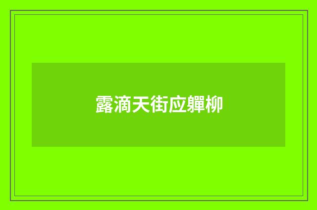 露滴天街应軃柳