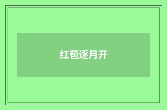 红苞逐月开