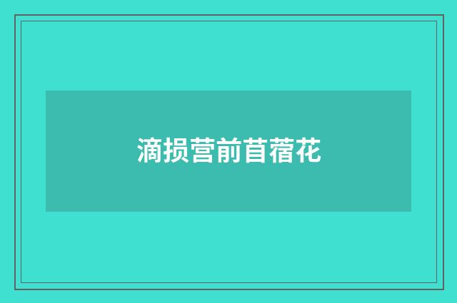 滴损营前苜蓿花