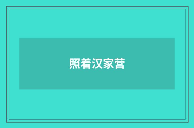 照着汉家营