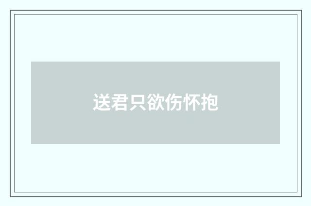 送君只欲伤怀抱