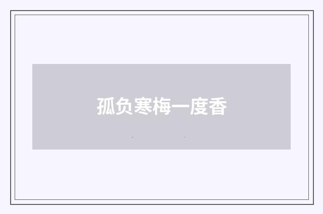 孤负寒梅一度香
