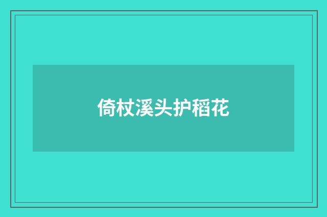 倚杖溪头护稻花