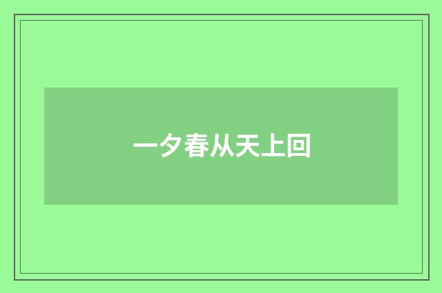 一夕春从天上回