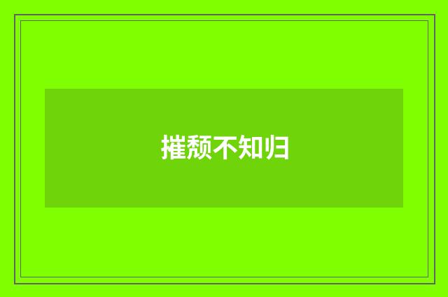 摧颓不知归