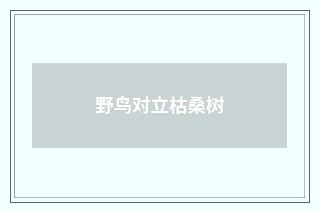野鸟对立枯桑树